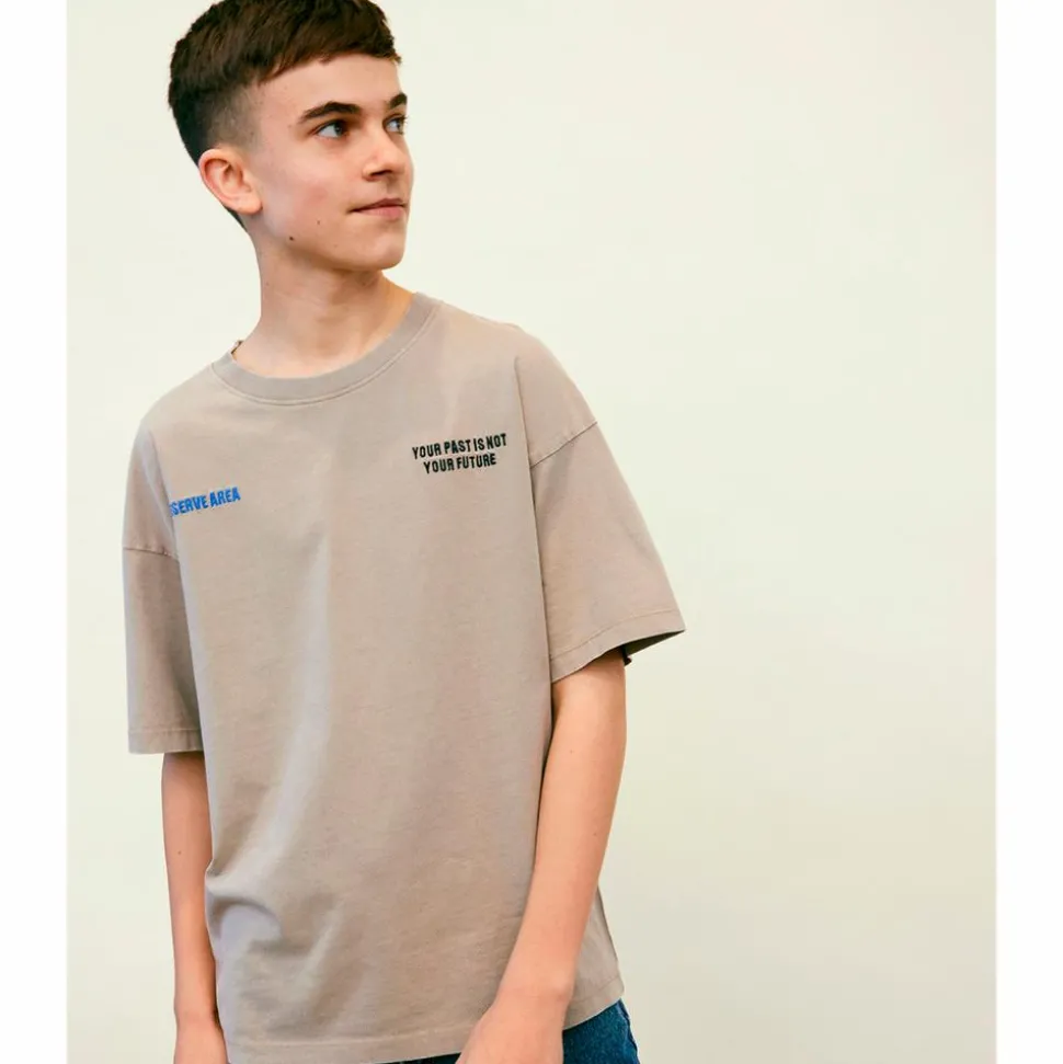 LMTD Drenge T-shirt - Silver Sage